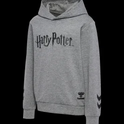 hmlHARRY POTTER HOODIE