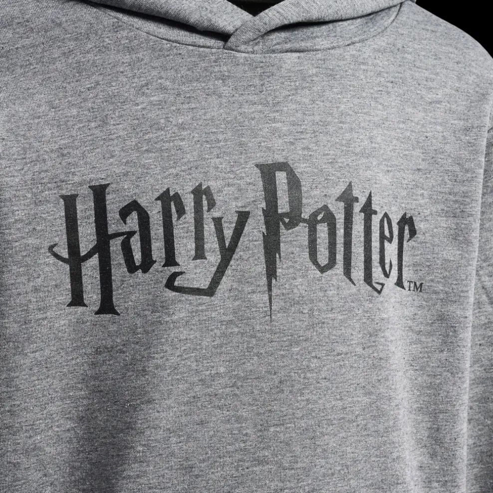 hmlHARRY POTTER HOODIE
