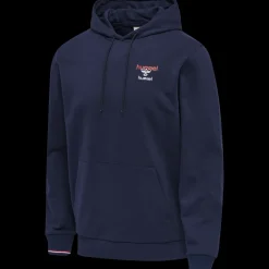hmlIC DAYTON HOODIE