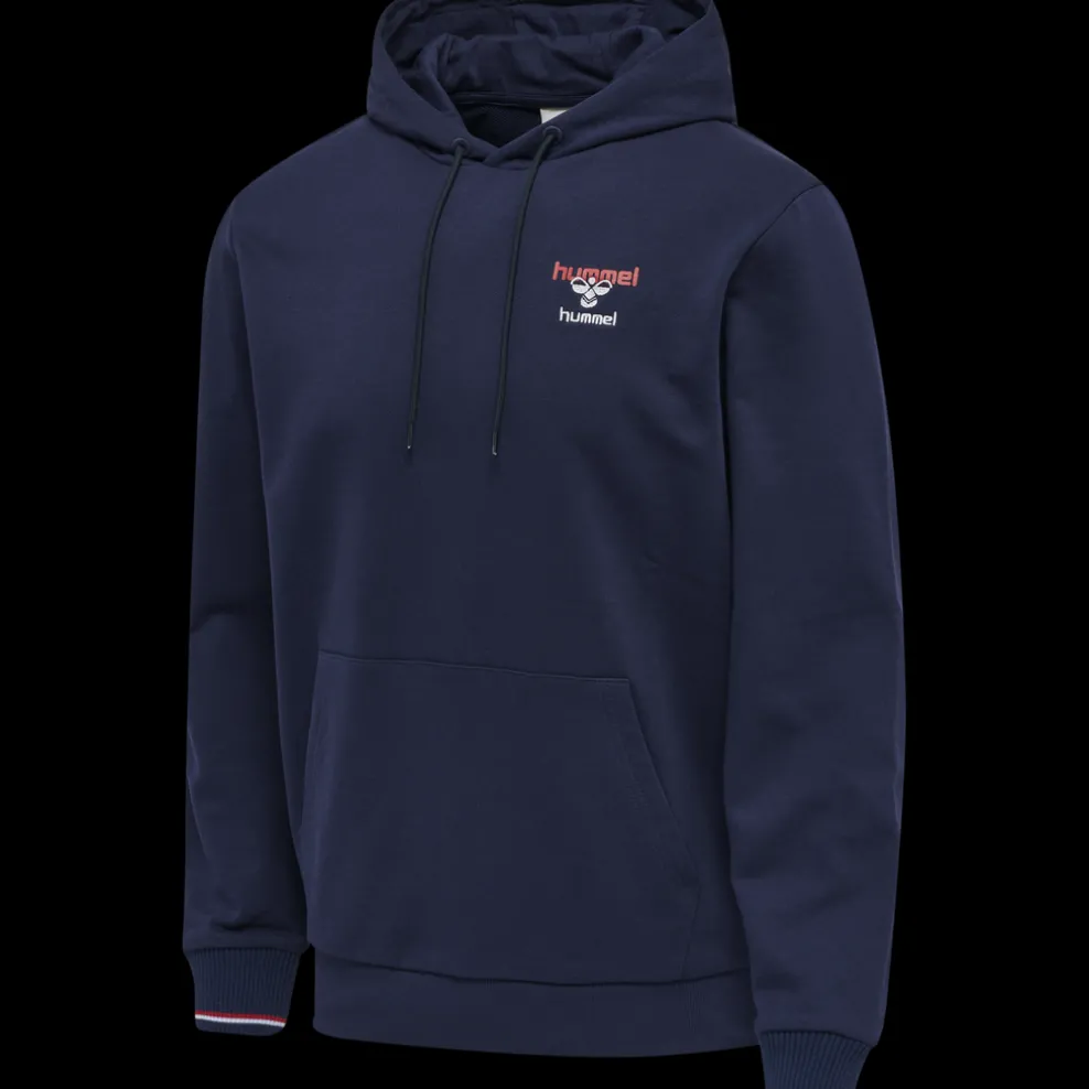 hmlIC DAYTON HOODIE