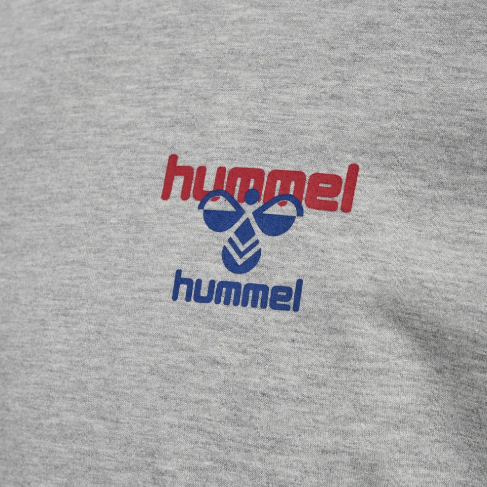 hmlIC DAYTON T-SHIRT