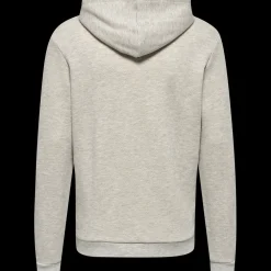 hmlLGC AUSTIN HOODIE