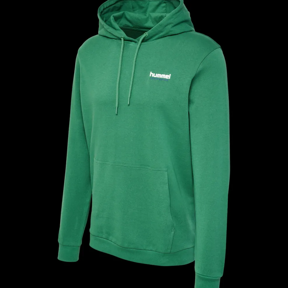 hmlLGC GABE HOODIE