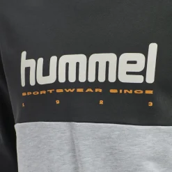 hmlLGC MANFRED SWEATSHIRT