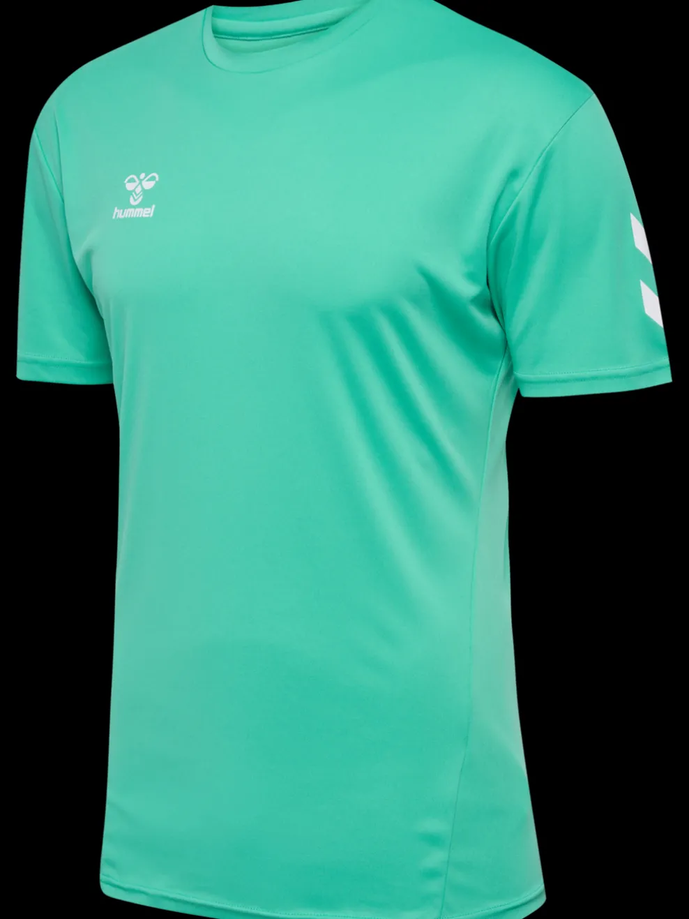 hmlLOGO SET