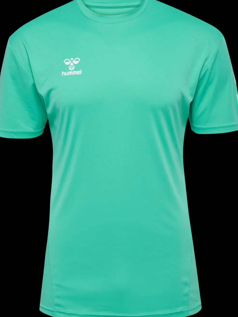 hmlLOGO SET