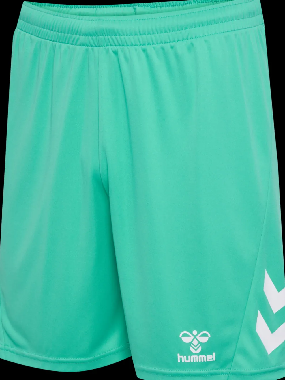 hmlLOGO SET
