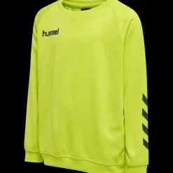 hmlPROMO KIDS POLY SWEATSHIRT