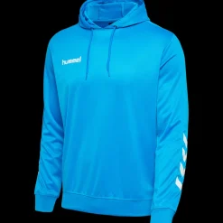 hmlPROMO POLY HOODIE