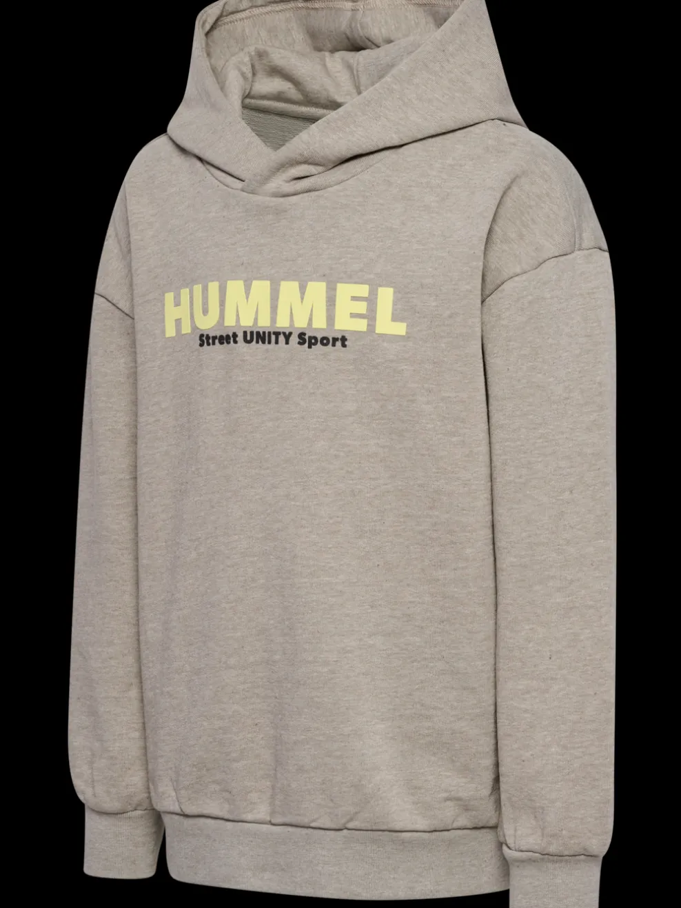 hmlZEN HOODIE