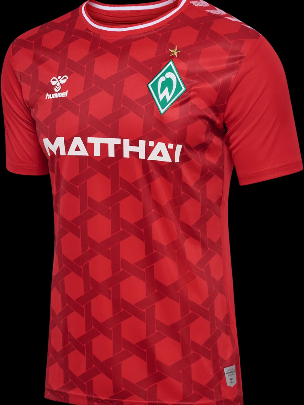 WER 23/24 GK JERSEY S/S