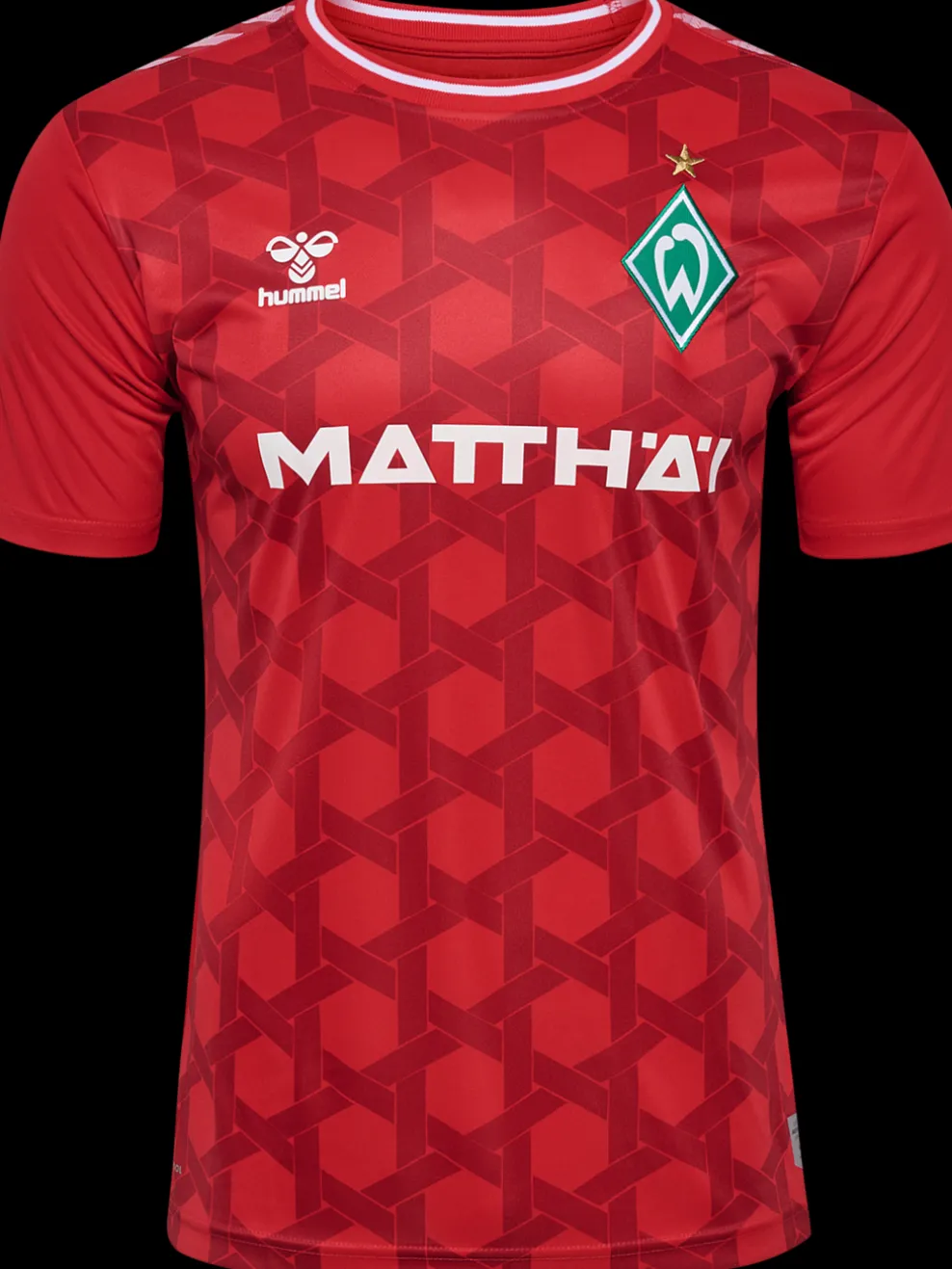 WER 23/24 GK JERSEY S/S